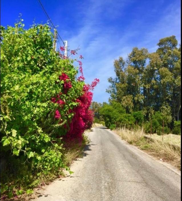 קטאניה Playa Home מראה חיצוני תמונה